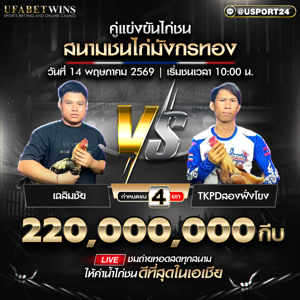 โปรแกรมไก่ชน สนามชนไก่มังกรทอง 14 พ.ค. 2569 ตารางล่าสุด