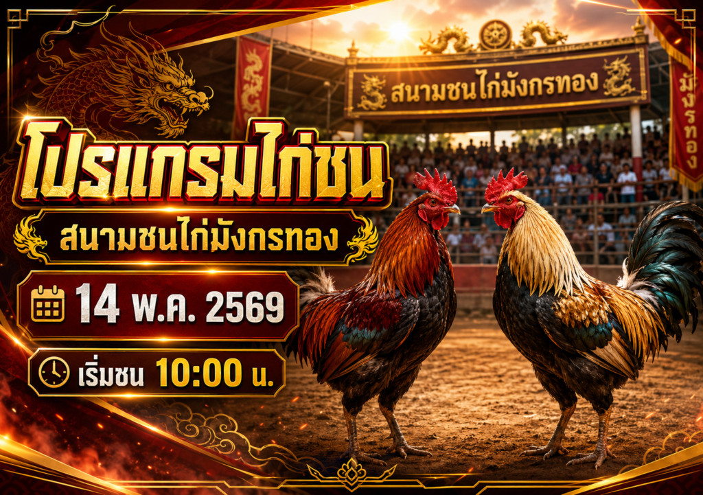โปรแกรมไก่ชน สนามชนไก่มังกรทอง 14 พ.ค. 2569