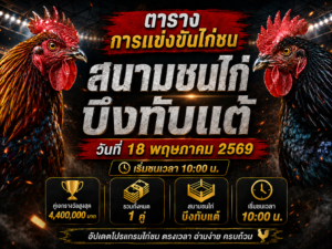 โปรแกรมไก่ชนบึงทับแต้ วันนี้ 18 พ.ค. 2569 คู่ใหญ่ชิง 2,200,000 บาท