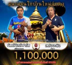 โปรแกรมไก่ชน
