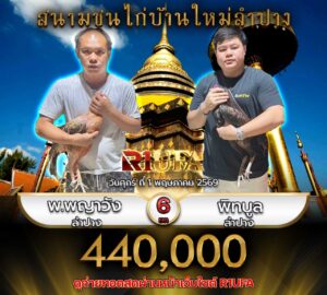 โปรแกรมไก่ชน