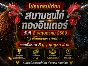 โปรแกรมไก่ชน สนามชนไก่ทองอินเตอร์ 2 พ.ค. 2569 เริ่มชน 10:00 น.