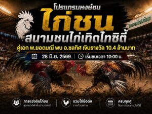 โปรแกรมไก่ สนามชนไก่เทิดไทซิตี้ วันที่ 28 มิ.ย. 2569 | เริ่มชนเวลา 10:00 น.