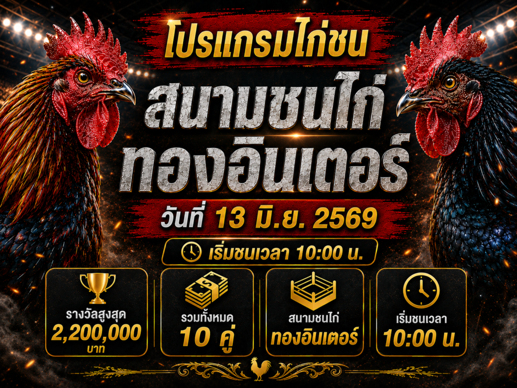 โปรแกรมไก่ชน วันที่ 13 มิ.ย. 2569 สนามชนไก่ทองอินเตอร์ | เริ่มชนเวลา 10:00 น.