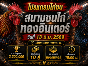 โปรแกรมไก่ชน วันที่ 13 มิ.ย. 2569 สนามชนไก่ทองอินเตอร์ | เริ่มชนเวลา 10:00 น.