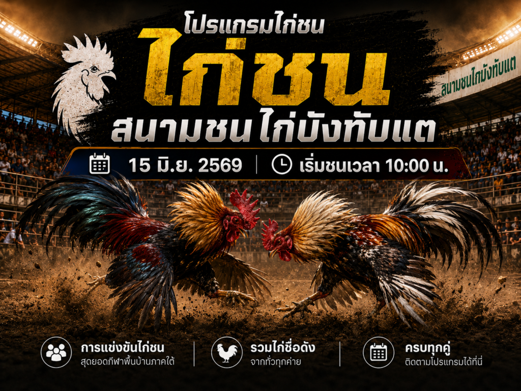 โปรแกรมไก่ชน วันที่ 15 มิ.ย. 2569 สนามชนไก่บังทับแต
