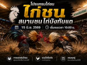 โปรแกรมไก่ชน วันที่ 15 มิ.ย. 2569 สนามชนไก่บังทับแต