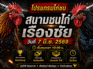 โปรแกรมไก่ชน วันที่ 7 มิ.ย. 2569 สนามชนไก่เรืองชัย เริ่มชนเวลา 1000 น.