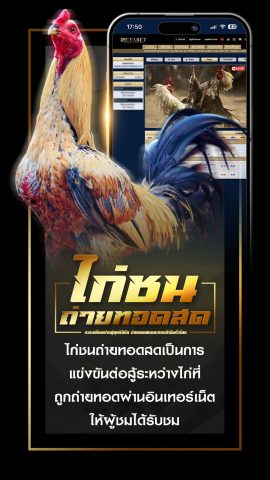 ไก่ชนถ่ายทอดสด