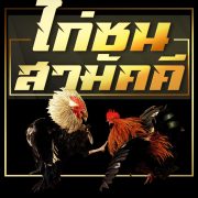 ไก่ชนสามัคคี
