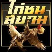 ไก่ชนสยาม