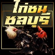 ไก่ชนชลบุรี