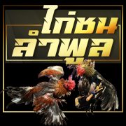 ไก่ชนลำพูล