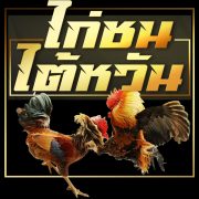 ไก่ชนไต้หวัน